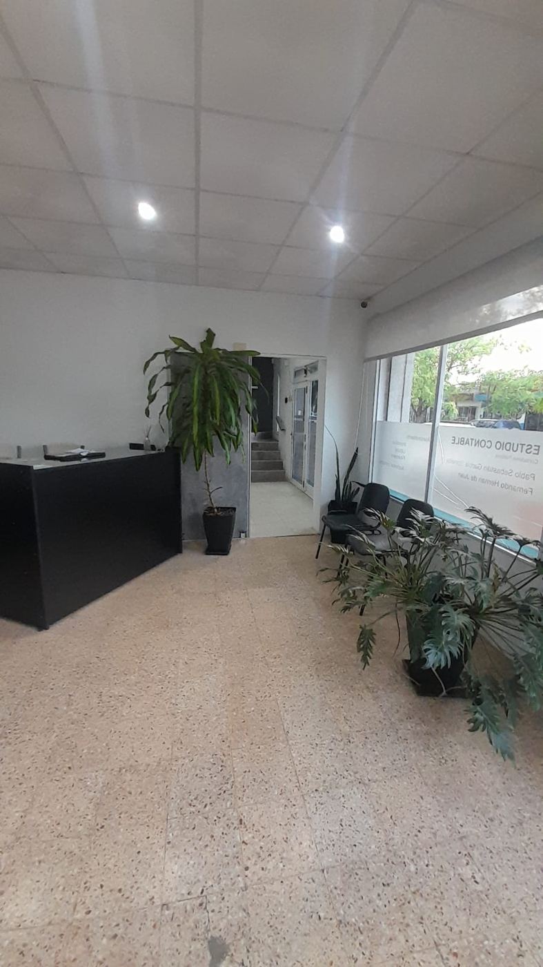 Recepción en planta baja con plantas y sala de espera